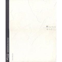 现货包邮 同一个世界－中画彩绘联合大庭艺术画册 9787505956162 中国文联出版社 冯远 中国新闻室 中国文学艺术界联合会