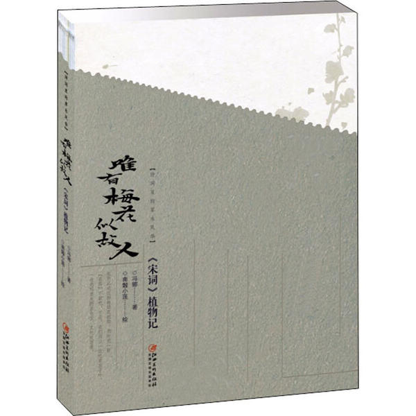 正版包邮 诗词里的草木风华 唯有梅花似故人 《宋词》植物记 9787548073338 江西美术出版社 冯娜