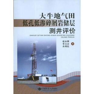 包邮 社 大牛地气田低孔低渗碎屑岩储层测井评价 中国地质大学出版 赵永刚 9787562525325 现货
