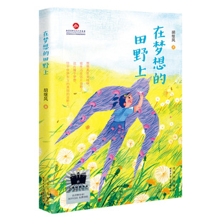 田野上 9787530166628 北京少年儿童出版 正版 胡继风 在梦想 社 著 包邮