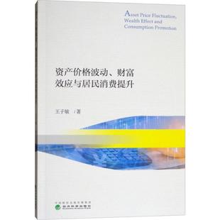 财富效应与居民消费提升 资产价格波动 9787514192377 经济科学出版 王子敏 现货 社 包邮