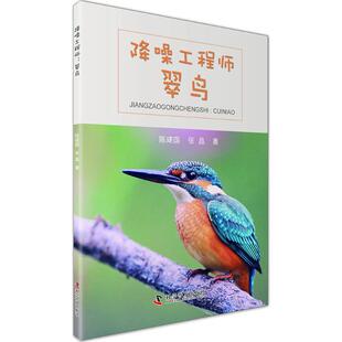 现货包邮 降噪 9787110096659 科学普及出版社 陈建国,张晶 著