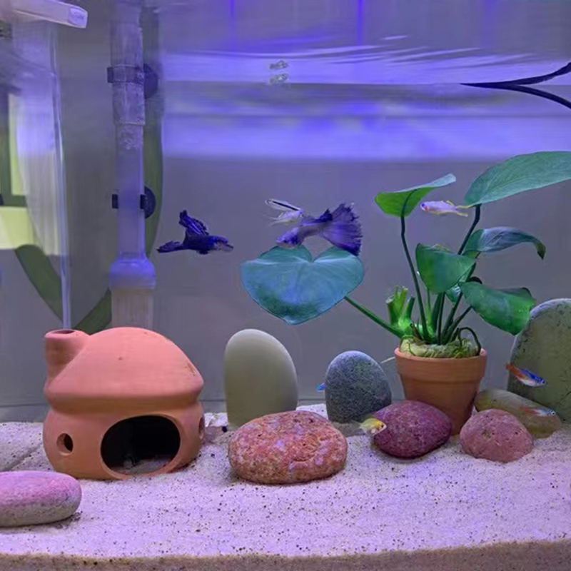 躲避鱼缸造景小鱼虾屋虾窝鲷鱼