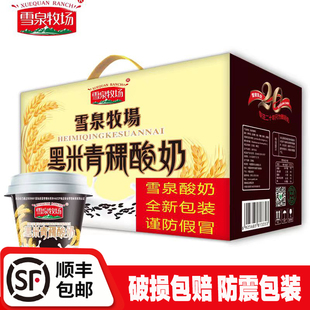 雪泉牧场青稞黑米酸奶200g*12盒整箱网红代餐嚼发酵益生菌稠酸奶