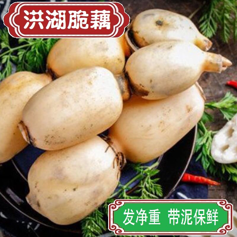 洪湖脆藕新鲜莲藕清炒藕片汤藕红藕湖北特产蔬菜孕期滋补婴幼辅食