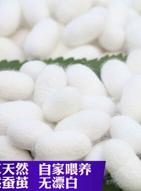 泡水泡茶容喝茧壳邮药球入包不伤蚕枚角肤马米去的左手痛洗脸指套