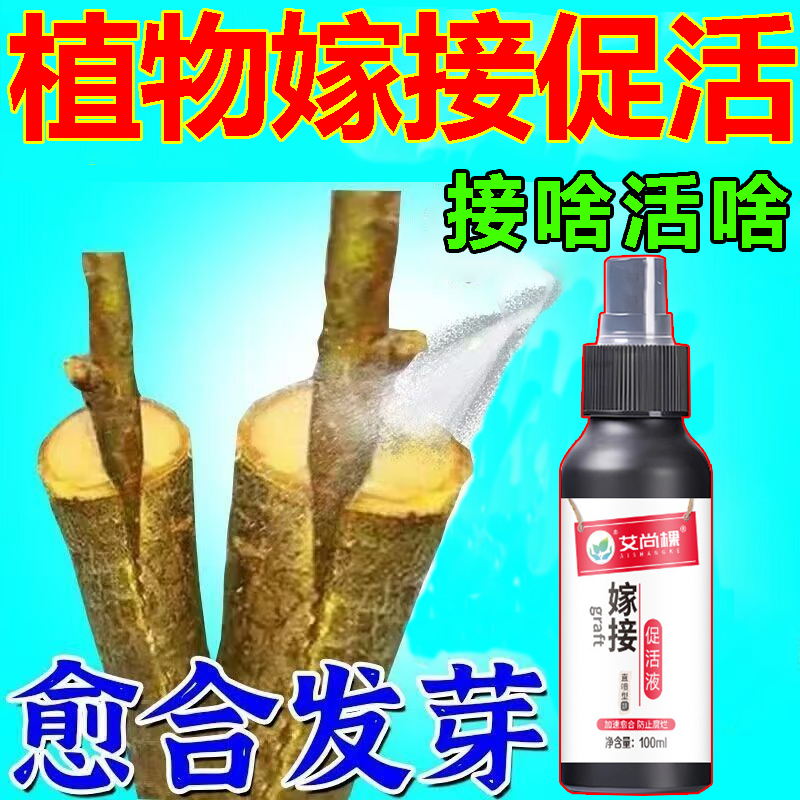 【一喷活】植物嫁接伤口愈合剂