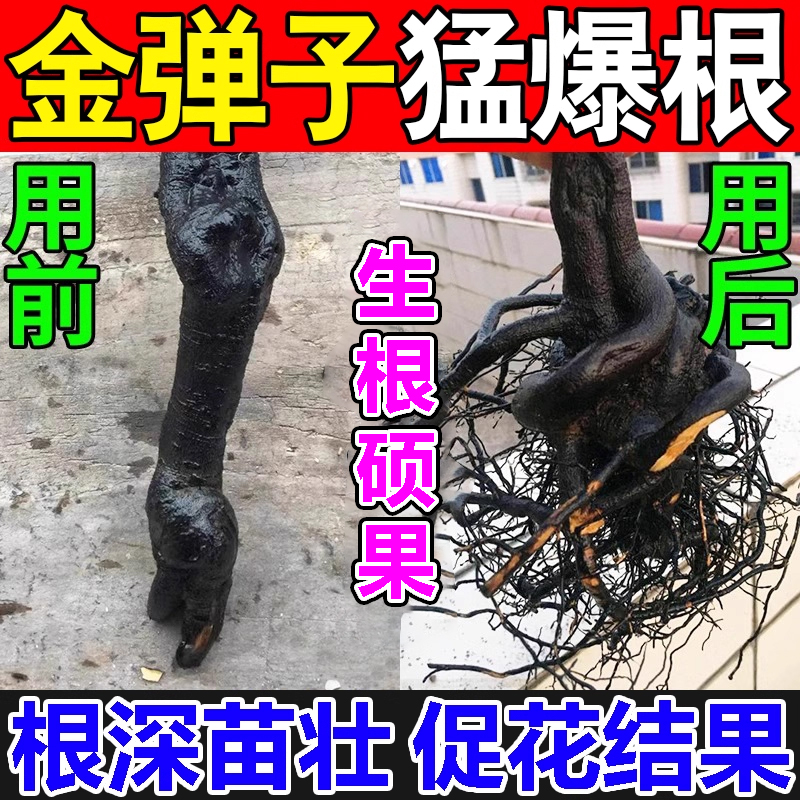 金弹子爆根剂专用肥药生根粉