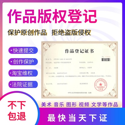 美术作品版权登记软件著作权申请图形文字视频办理最快当天下证