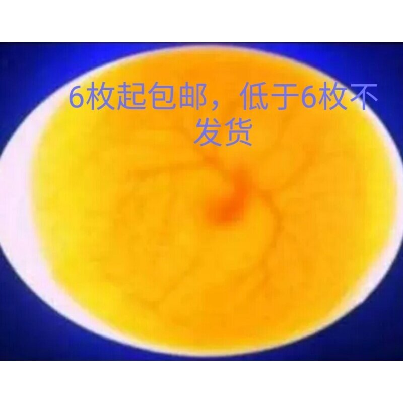 鸽子种蛋可孵化受精蛋各种颜色肉鸽蛋39元6枚包邮