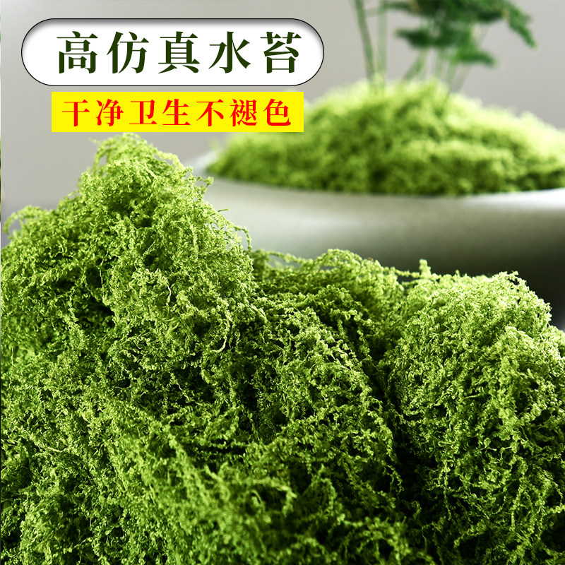 高仿真苔藓 盆景装饰青苔盆栽铺面水苔微景观造景材料 毛线假草坪,鲜花速递/花卉仿真/绿植园艺,仿真绿植,淘宝优惠券,粉丝福利购,淘宝优惠卷