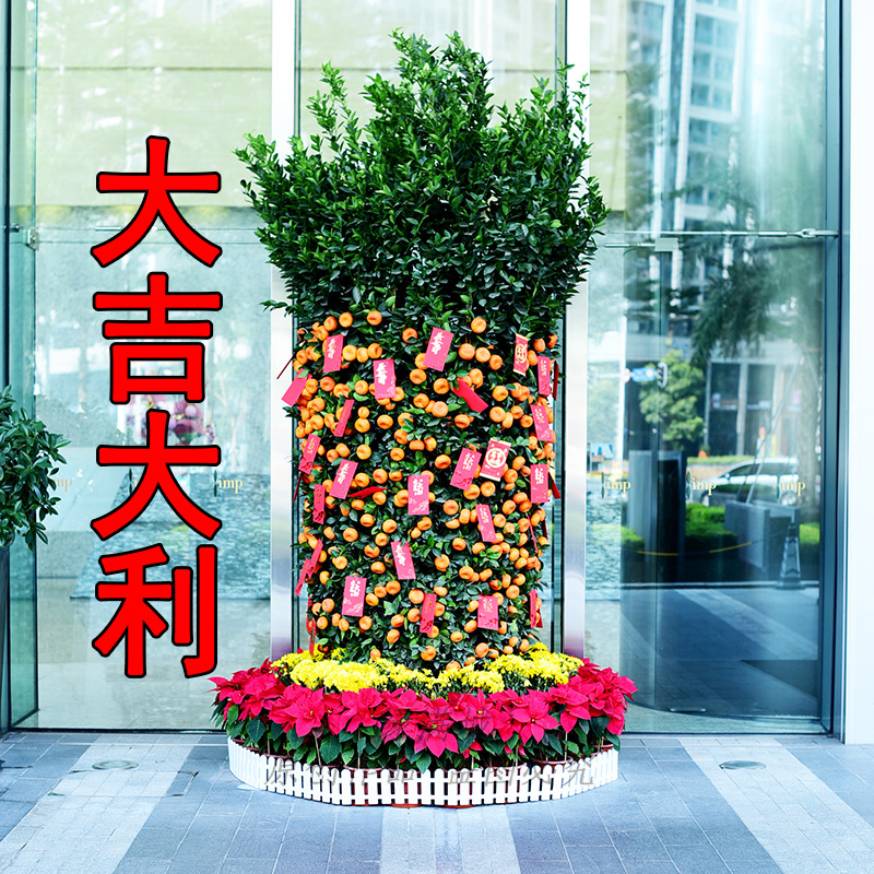 塑料栅栏 白色PVC围栏底座小篱笆小型栏栅年桔年花节日装饰小护栏