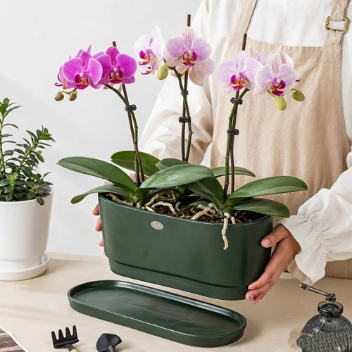 陶瓷简约款式新颖大口径