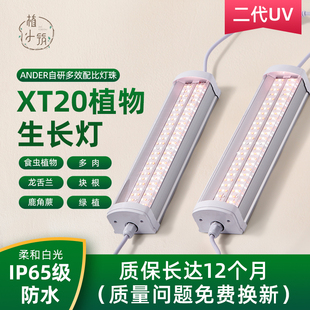 植小筑XT20全光谱绿植补光灯多肉植物防徒长促上色热植龙舌兰食虫
