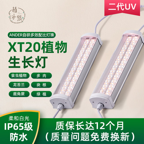 植物生长灯防徒长促上色通用