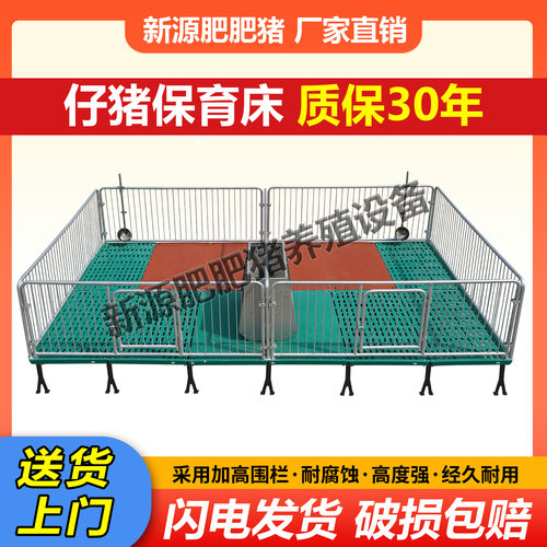 仔猪保育床设备定限位栏猪用畜牧机械漏粪板仔猪栏两用养猪场设备 - 封面