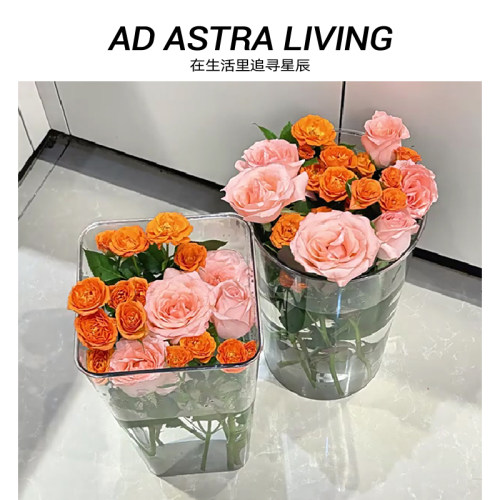 AD·ASTRA透明亚克力醒花桶家用
