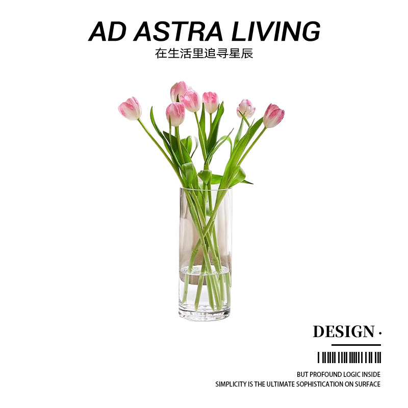 AD·ASTRA·直筒玻璃花瓶图片