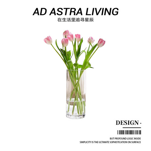AD·ASTRA·直筒玻璃花瓶
