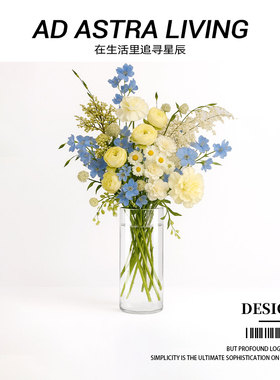 AD·ASTRA·亚克力花瓶摆件防摔透明插花富贵竹文昌竹专用丨直筒