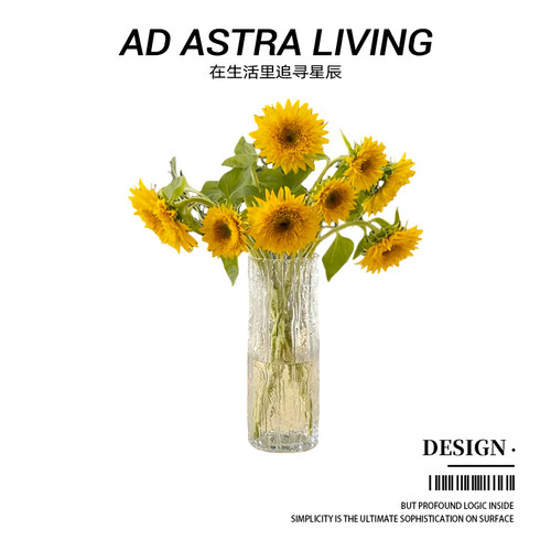 AD·ASTRA·树纹直筒瓶