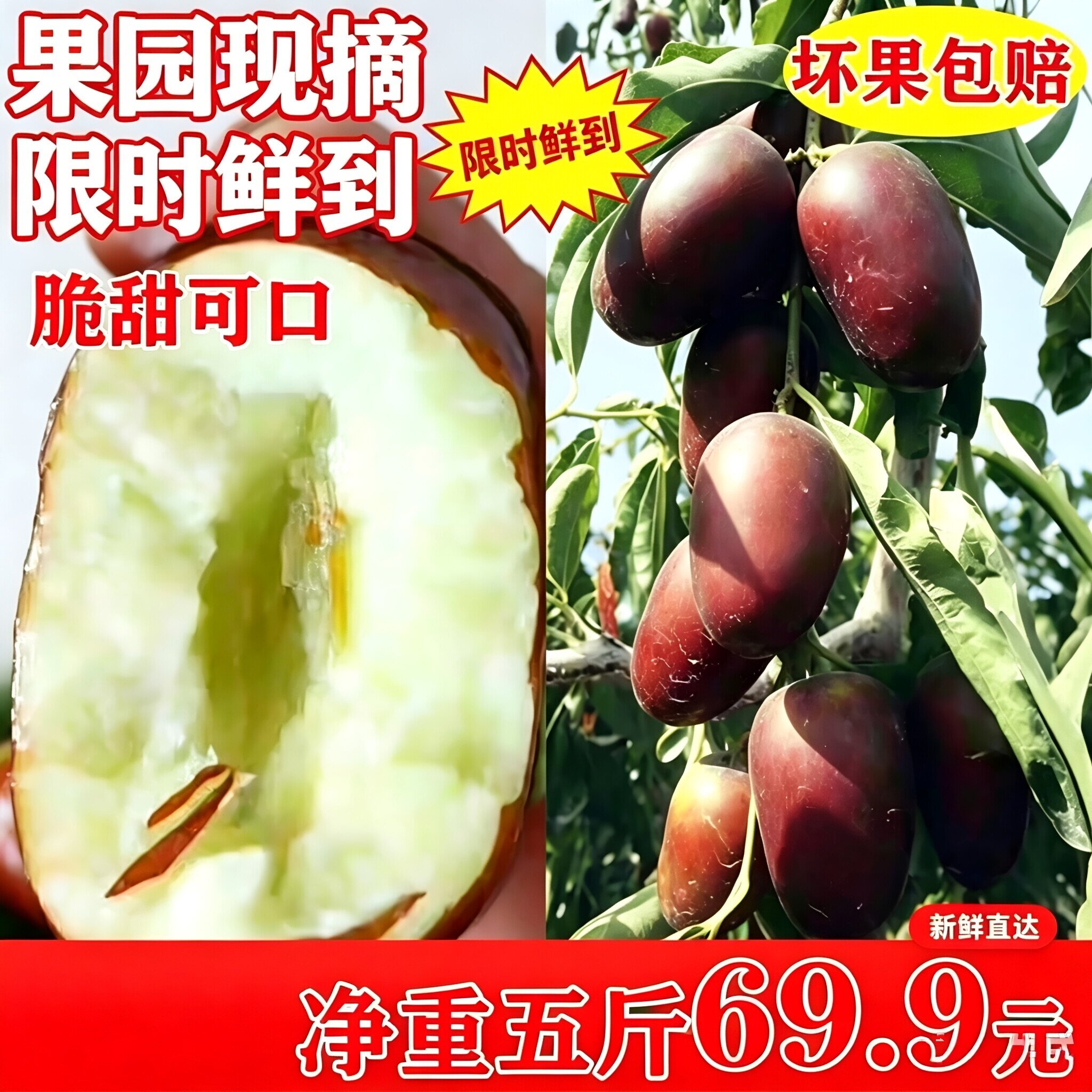 新疆鲜枣灰枣冬枣子水果自家果园枣