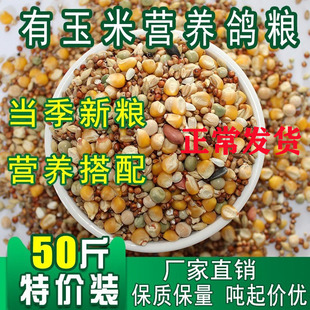 鸽子粮食50斤爱飞玉米小粒白鸽饲料鸽食信鸽专用鸽粮五谷杂粮混合