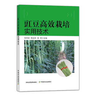 豇豆高效栽培实用技术 矮生豇豆蔓生豇豆 优质高效栽培技术大全 豇豆漂浮育苗技术病虫害防治技术 蔬菜栽培种植书籍