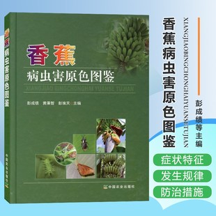 社 香蕉种植技术管理香蕉高效种植栽培技术大全果树修剪果园管理手册果树种植栽培技术中国农业出版 香蕉病虫害原色图鉴 精