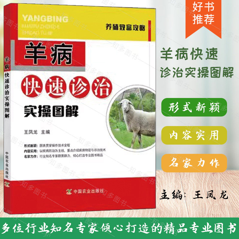 羊病快速诊治实操图解  养殖致富攻略养羊技术书籍大全羊病综合治疗全书科学兽医山羊专业养殖书肉羊饲养 处方手册防疫检疫书籍