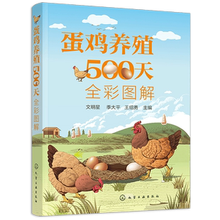 蛋鸡养殖500天全彩图解 蛋鸡养殖书籍 蛋鸡养殖一本通 零基础学养鸡 蛋鸡养殖知识 图详解蛋鸡育雏育成产蛋三阶段饲养管理方法书籍