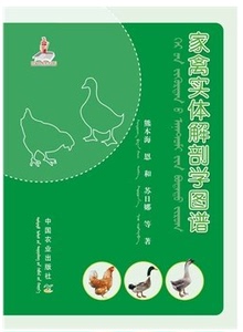 家禽实体解剖学图谱  鸡鸭鹅家禽体表及被皮系统消化系统呼吸系统心血管系统泌尿系统神经系统母禽公禽生殖系统内分泌及免疫系统书