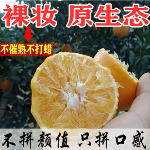 新鲜赣南脐橙榨汁丑橙子花皮果整箱现摘无公害江西安远信丰寻乌