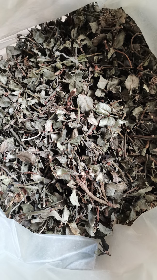 蔓九节500g干品包邮农家自晒春根拎壁风不动穿根娱蚣崧筋藤中药材