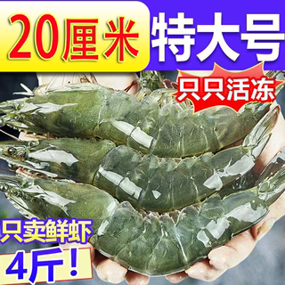 青岛大虾新鲜鲜活超大基围虾对虾海虾特大青虾速冻海鲜水产鲜虾类