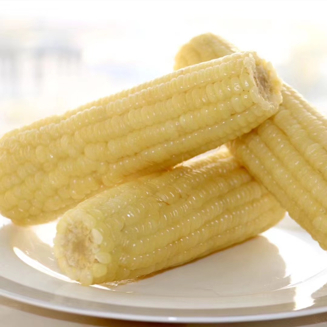 玉三三白糯玉米棒厂家直销