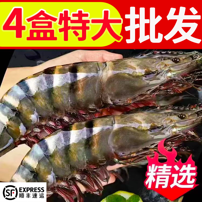 野生黑虎虾超大鲜活速冻特大号虎头虾斑纹虾竹节虾活虾海鲜水产