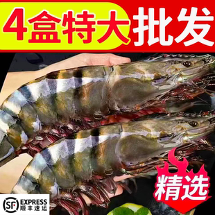 野生黑虎虾超大鲜活速冻特大号虎头虾斑纹虾竹节虾活虾海鲜水产