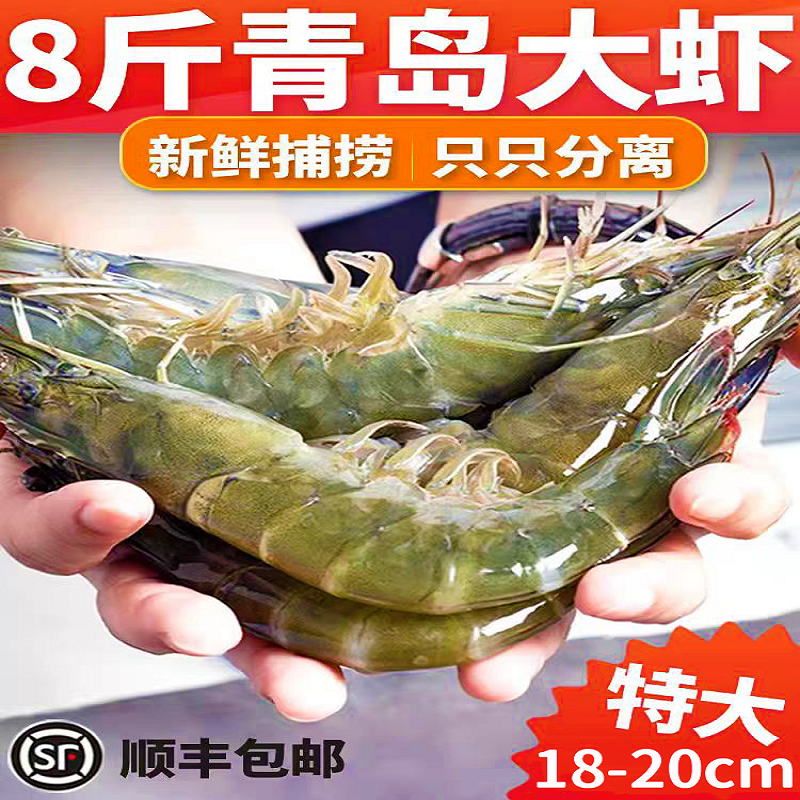 盐冻青岛新鲜海捕大虾鲜活速冻海捕特大虾对虾海鲜水产批发顺丰