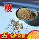 谷子稷子带壳小米粮民俗传统五谷东北农家杂粮带皮黄小米五谷杂粮