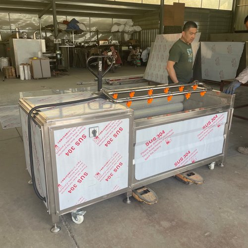 猪蹄灰枣毛辊清洗设备全自动土豆生姜桔梗萝卜红薯马蹄清洗去皮机