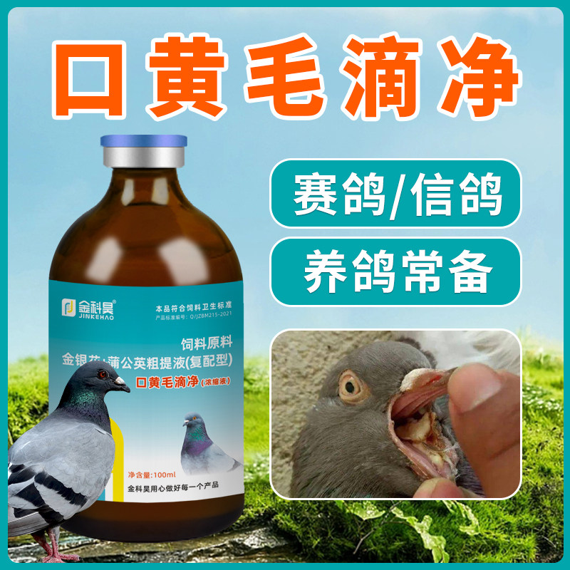 金科昊口黄毛滴净赛鸽信鸽毛滴鸽子口黄白点鸽子用饲料原料提取液