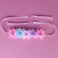 5 -Color смешанный цвет 5 цветов редактирован и щетинка с моделями кисточки