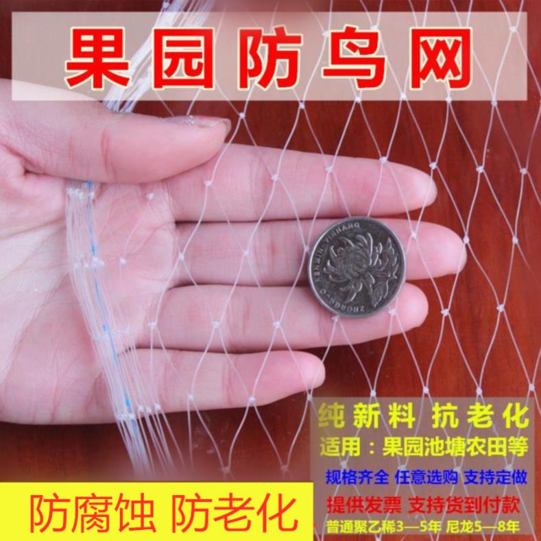 护栏网水果树网子葡萄树保护网防鸟防虫户外家用花架塑料平防护池|ruв категории доставка цветов/цветок моделирования/растения садоводства, садовых принадлежностей, других садовых принадлежностей - от Buy2taobao.com для оказания профессиональной услуги покупки агента Taobao