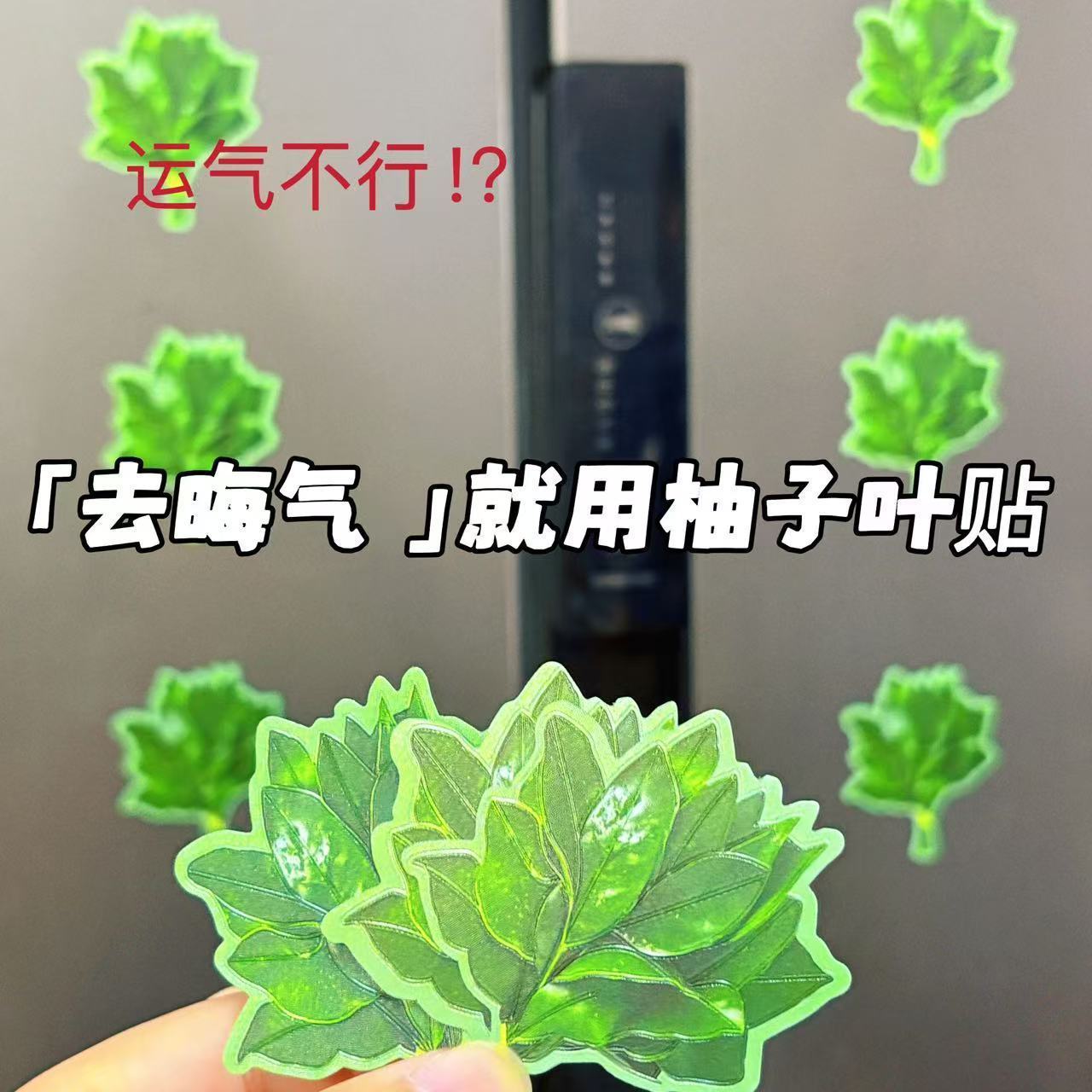 柚子叶去晦气冰箱贴转运幸运亚克力创意小众搞怪礼物冰箱装饰品