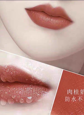 ins口红板栗棕大牌口红不掉色不沾杯不脱色豆沙哑光滋润肉桂奶茶