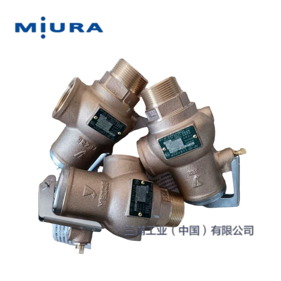 三浦工业蒸汽锅炉安全阀AF-5B-1
