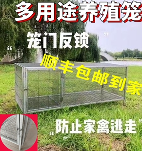 芦丁鸡专用笼小鸡笼雏鸡家用笼子加密厚烤漆鸭笼加密宠物笼鹌鹑笼