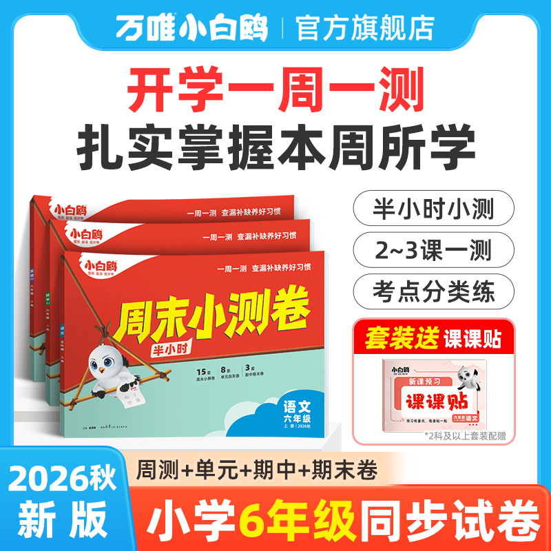 小白鸥六年级周末小测卷图片