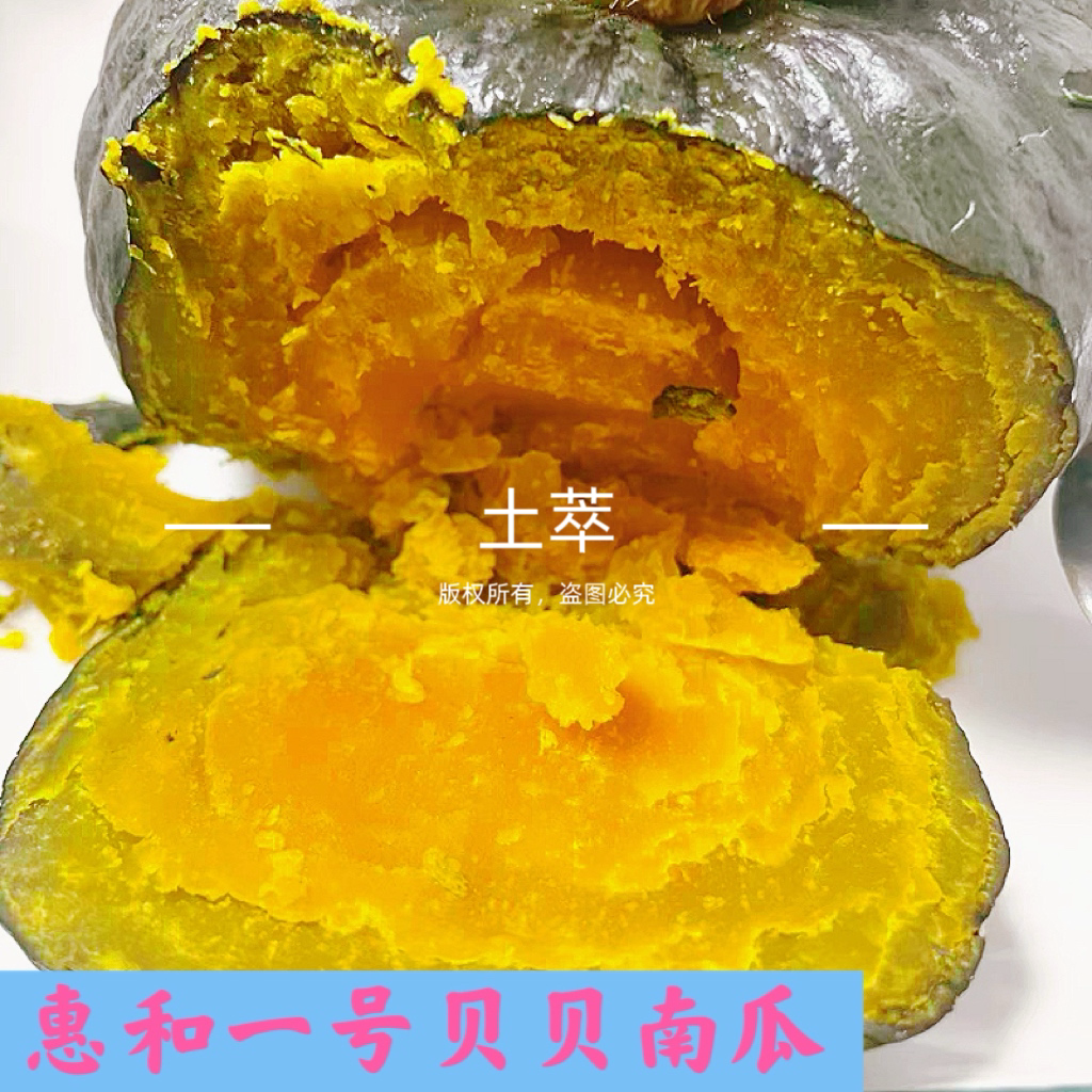 【进口惠和一号】贝贝南瓜山东潍坊粉糯香甜软糯宝宝辅食3斤4.5斤